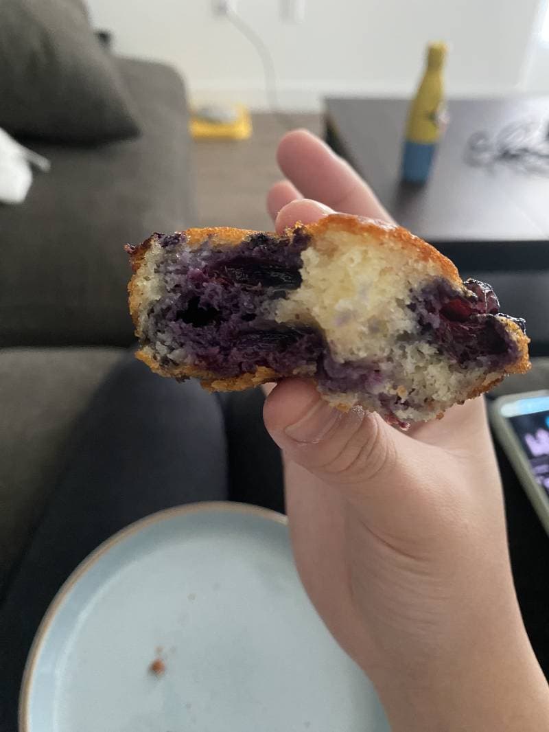 A Sucess: Protein Blueberry Muffins